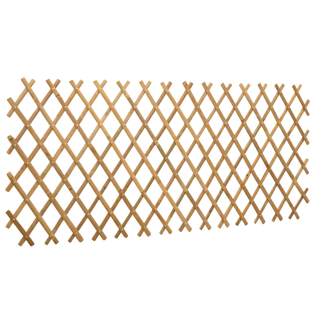 vidaXL Erweiterbares Spalierzaun 2 pcs Hellbraun 100 x 105 cm Bambus