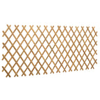 vidaXL Erweiterbares Spalierzaun 2 pcs Hellbraun 100 x 105 cm Bambus