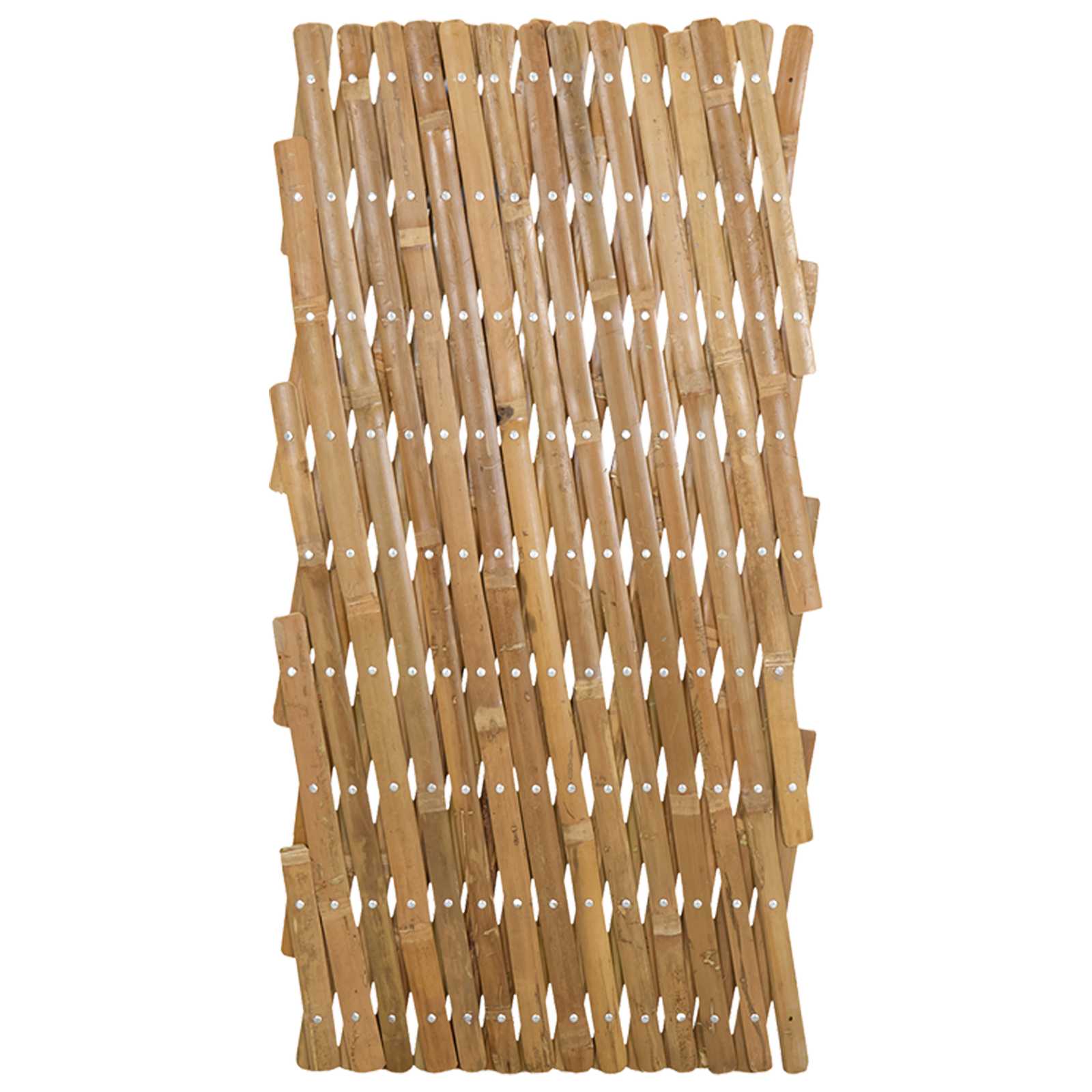 vidaXL Erweiterbares Spalierzaun 2 pcs Hellbraun 100 x 105 cm Bambus