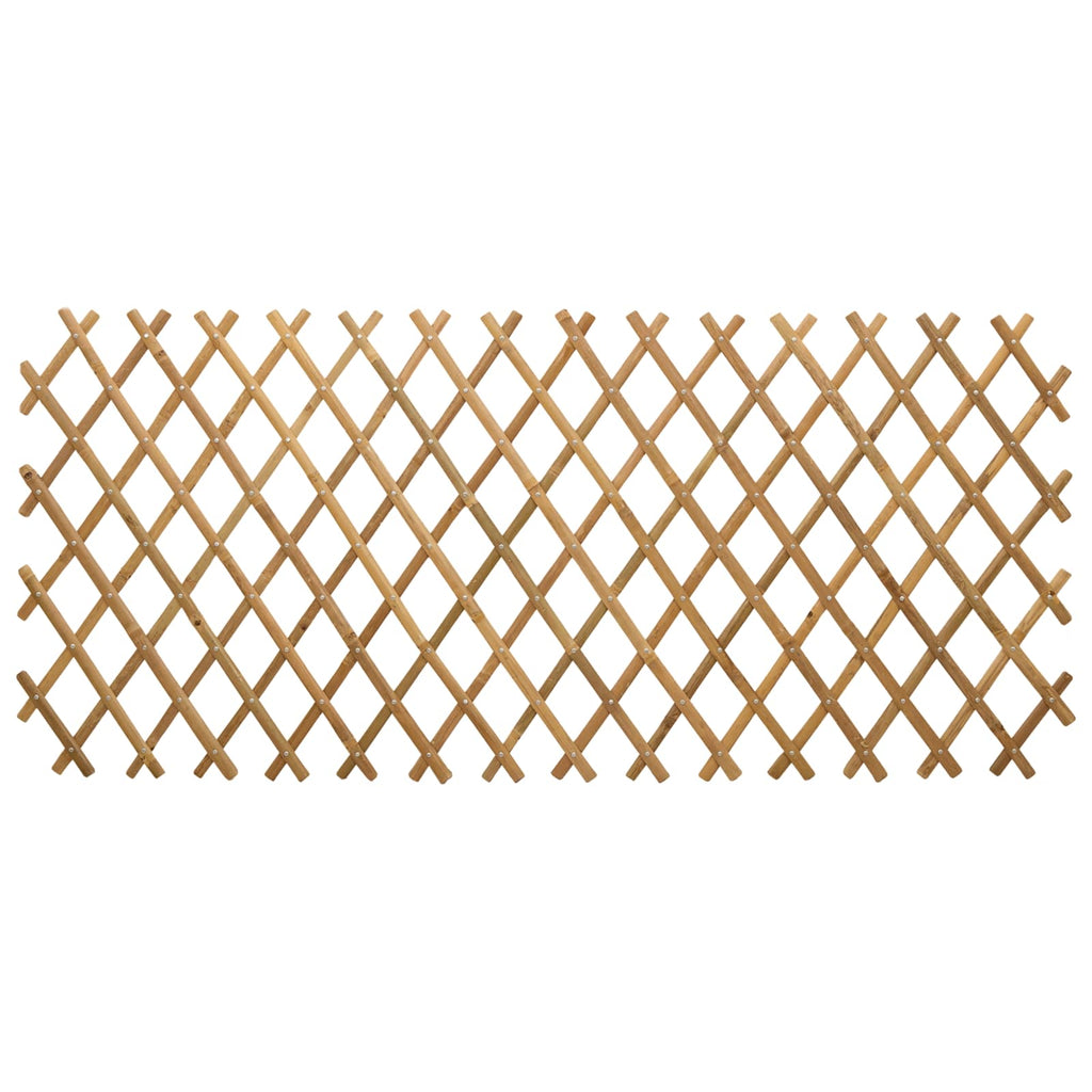 vidaXL Erweiterbares Spalierzaun 2 pcs Hellbraun 100 x 105 cm Bambus