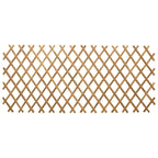 vidaXL Erweiterbares Spalierzaun 2 pcs Hellbraun 100 x 105 cm Bambus