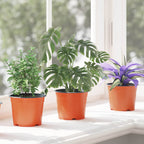 vidaXL Runder Blumentopf 50 pcs Terrakotta Ø 10 x 8 cm Kunststoff