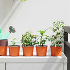vidaXL Runder Blumentopf 200 pcs Terrakotta Ø 10 x 8 cm Kunststoff