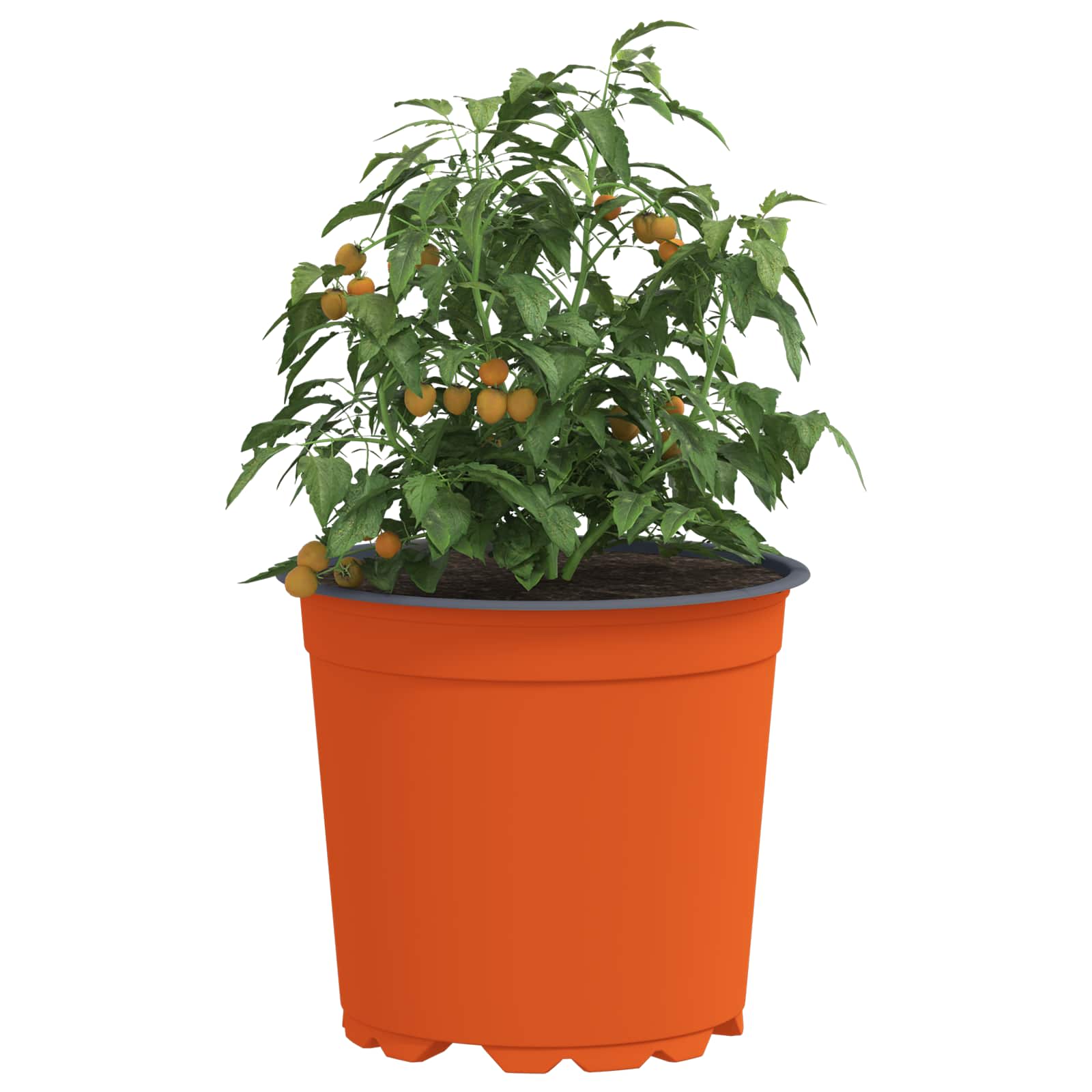 vidaXL Blumentopf 200 pcs Terrakotta Ø 15 x 13 cm Kunststoff