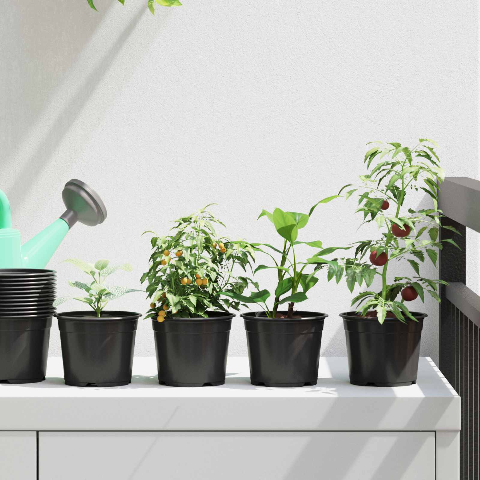 vidaXL Runder Blumentopf 50 pcs Schwarz Ø 10 x 8 cm Kunststoff