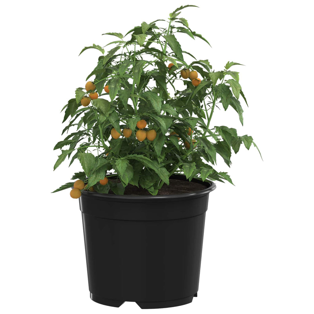 vidaXL Runder Blumentopf 200 pcs Schwarz Ø 10 x 8 cm Kunststoff