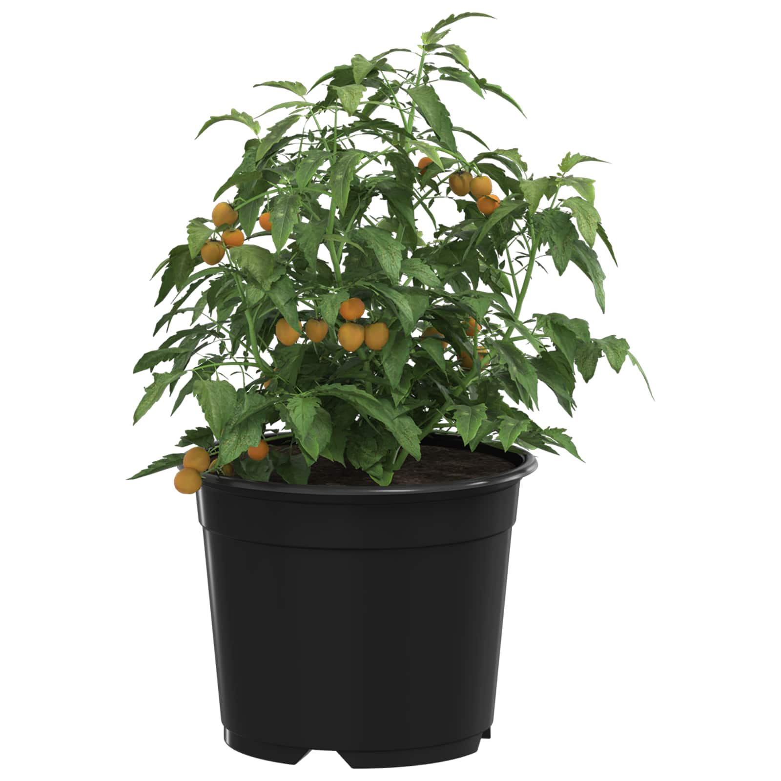 vidaXL Runder Blumentopf 200 pcs Schwarz Ø 10 x 8 cm Kunststoff