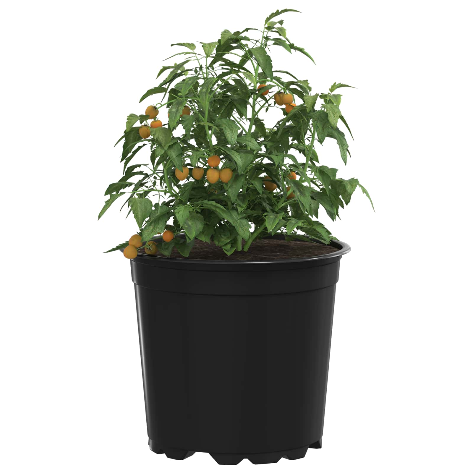 vidaXL Blumentopf 200 pcs Schwarz Ø 15 x 13 cm Kunststoff