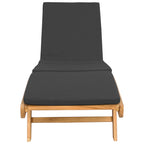 vidaXL Sonnenliege Braun und Dunkelgrau Polyester