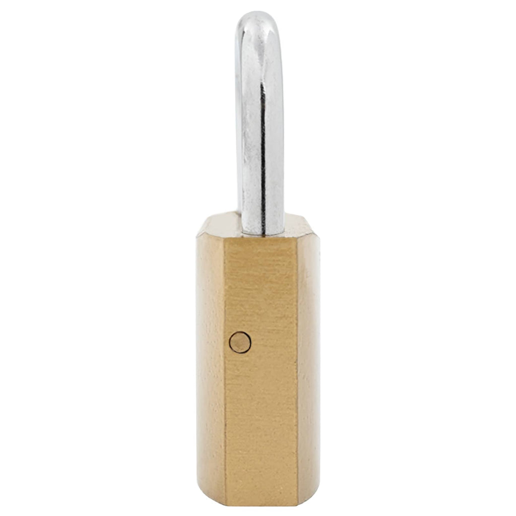 vidaXL U Schloss mit Schlüsseln 2 pcs Messing Eisen