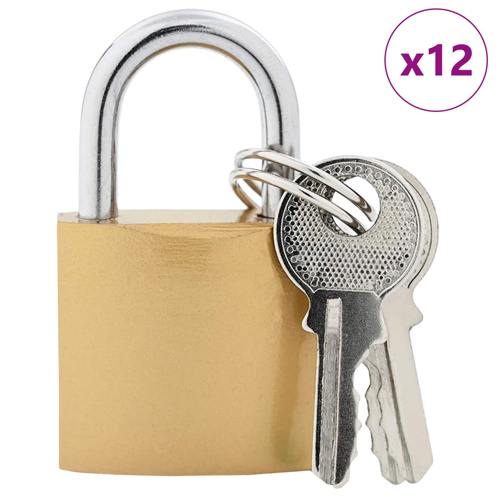 vidaXL U Schloss mit Schlüsseln 12 pcs Messing Eisen