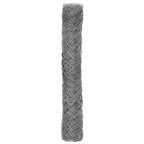 vidaXL Kettenzaun Verzinkt 2 x 10 m Glas