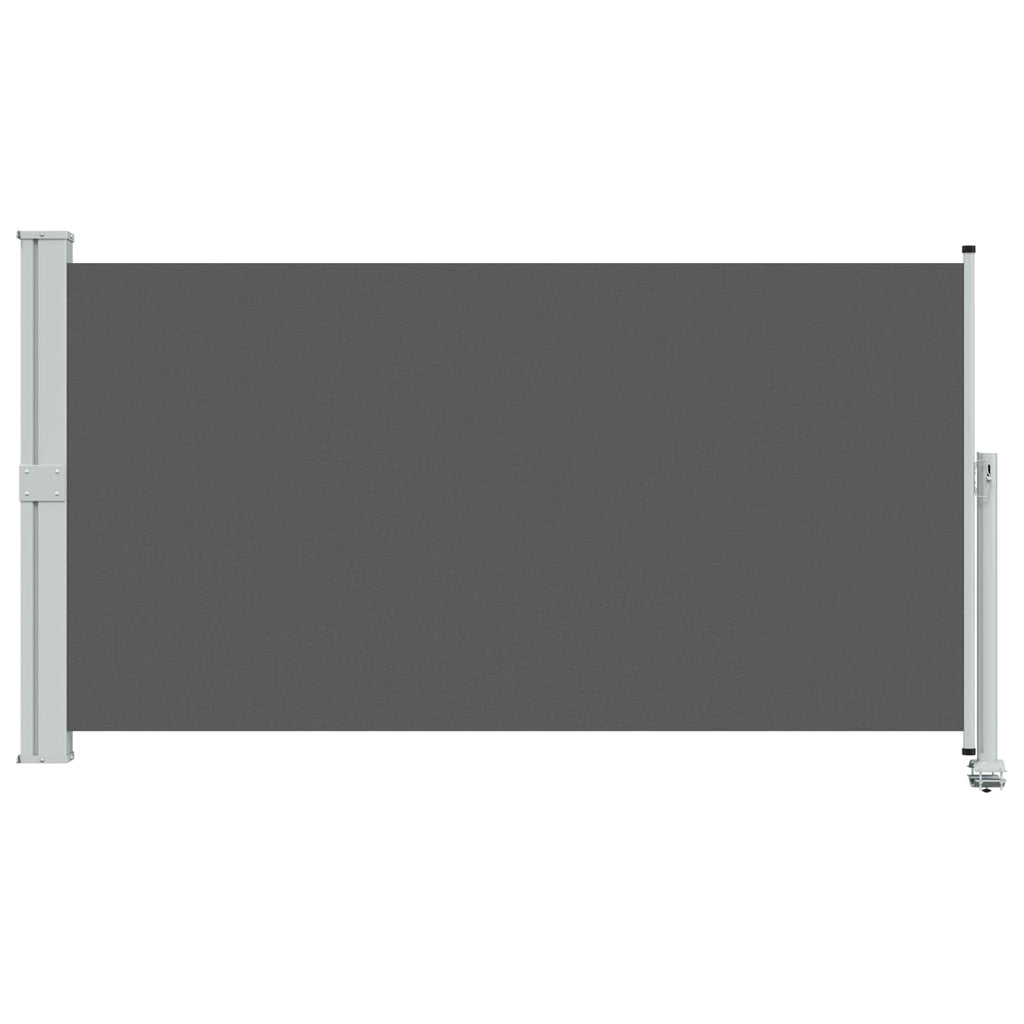 vidaXL Seitenmarkise Anthrazit 300 x 160 cm