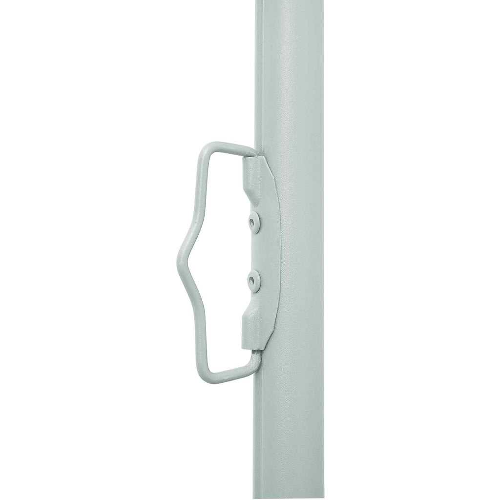 vidaXL Ausziehbares Seitenmarkise Beige 300 x 100 cm Polyester