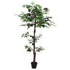 vidaXL Künstliche Ficus-Pflanze Grün 85 x 18 x 160 cm Stoff und Holz