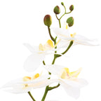 vidaXL Künstliche Orchideenpflanze mit Topf Weiß 45 x 15 x 65 cm