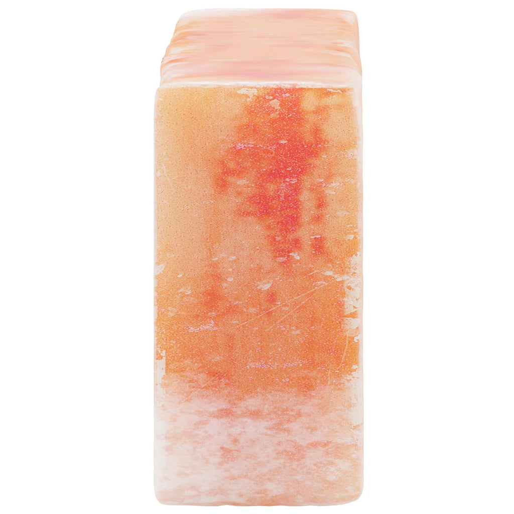 vidaXL Salzsteine 10 pcs Rosa 20 x 10 x 5 cm Steinsalz