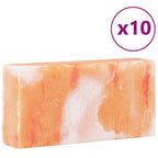 vidaXL Salzsteine 10 pcs Rosa 20 x 10 x 5 cm Steinsalz