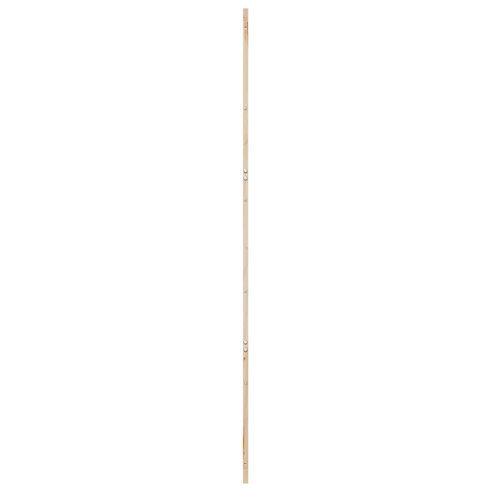 vidaXL Scheunentür Natur 100 x 2,5 x 208 cm Massives Kiefernholz