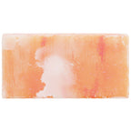 vidaXL Salzsteine 10 pcs Rosa 20 x 2,5 x 10 cm Steinsalz