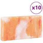 vidaXL Salzsteine 10 pcs Rosa 20 x 2,5 x 10 cm Steinsalz