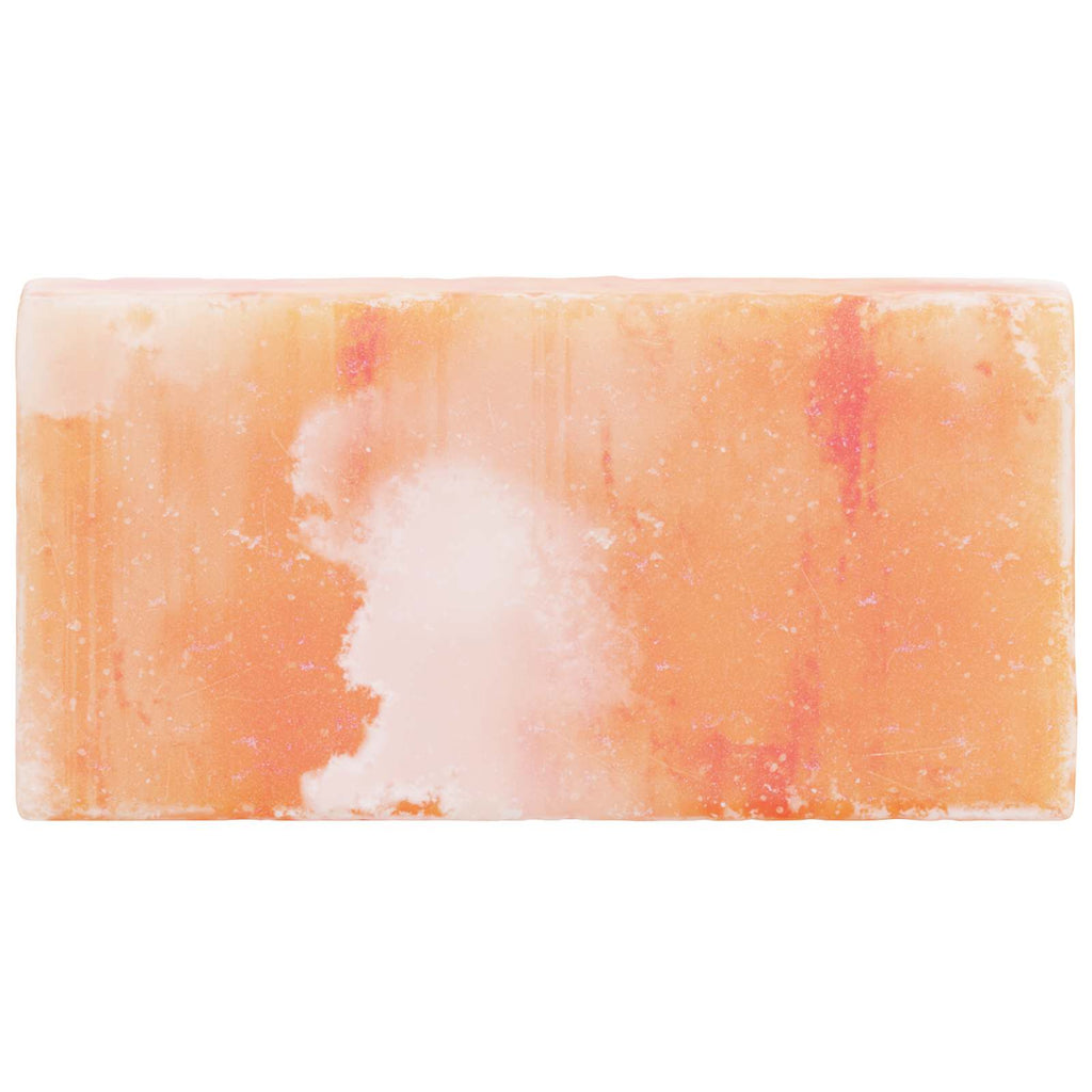 vidaXL Salzsteine 20 pcs Rosa 20 x 2,5 x 10 cm Steinsalz