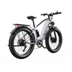 Vélo électrique Duotts F26 - Moteur 2*750W Batterie Samsung 48V 20Ah Non pliable - Argent Blanc