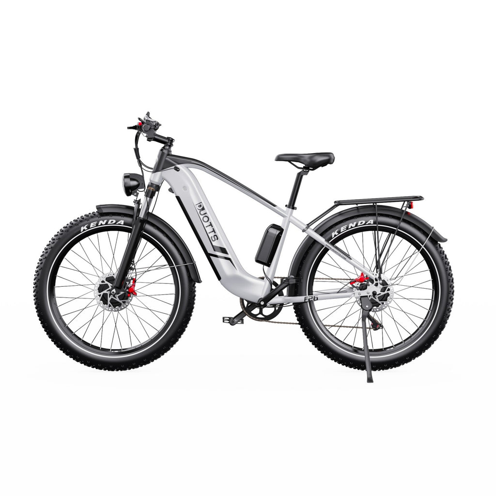 Vélo électrique Duotts F26 - Moteur 2*750W Batterie Samsung 48V 20Ah Non pliable - Argent Blanc