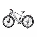 Vélo électrique Duotts F26 - Moteur 2*750W Batterie Samsung 48V 20Ah Non pliable - Argent Blanc