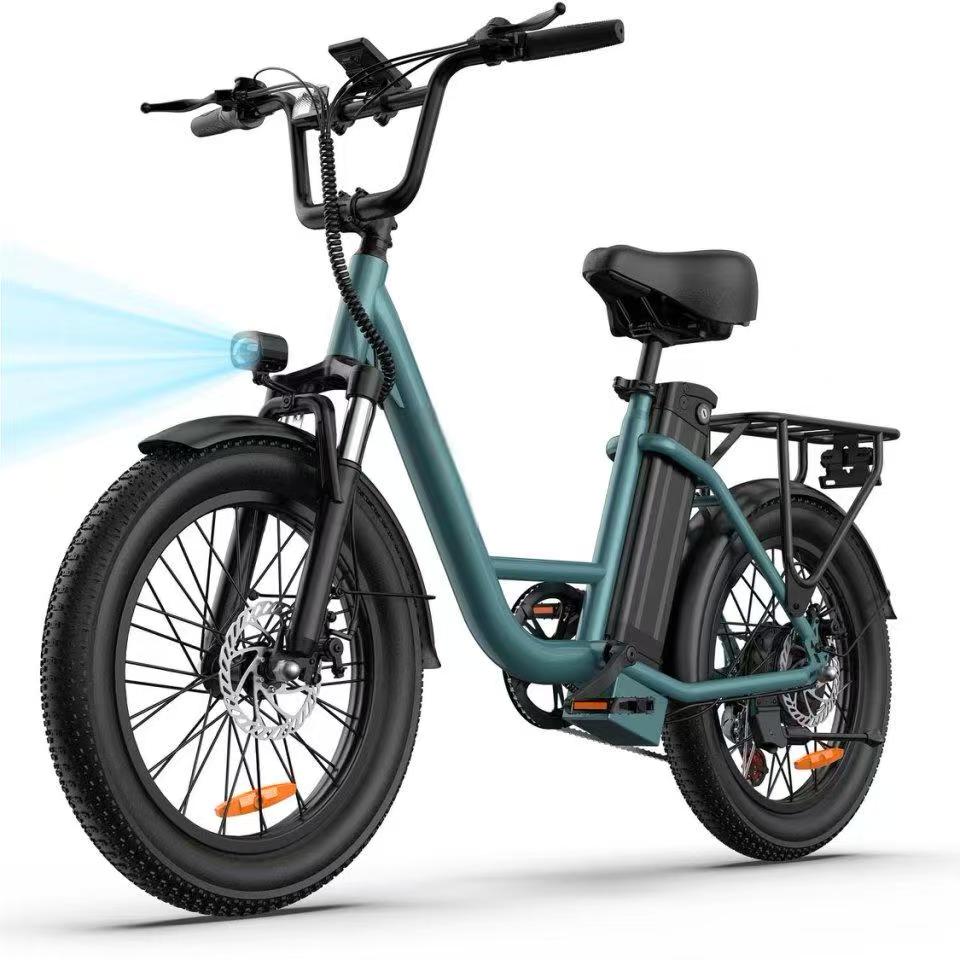 Elektrofahrrad URLIFE E20 - 250W Motor 48V 13Ah Batterie 20 Zoll Reifen Scheibenbremsen - Grün