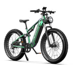 Duotts E26 E-Bike - Motor 750W Battery 48V20AH 26*4.0 Inch Fat Tires Front Rear Hydraulic Brakes - Green Purple