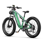 Duotts E26 E-Bike - Motor 750W Battery 48V20AH 26*4.0 Inch Fat Tires Front Rear Hydraulic Brakes - Green Purple