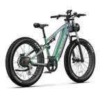 Duotts E26 E-Bike - Motor 750W Battery 48V20AH 26*4.0 Inch Fat Tires Front Rear Hydraulic Brakes - Green Purple