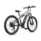 Duotts E29 Vélo électrique - Moteur 250W Batterie 48V13.5AH Freins hydrauliques - Blanc argenté