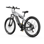 Duotts E29 Vélo électrique - Moteur 250W Batterie 48V13.5AH Freins hydrauliques - Blanc argenté