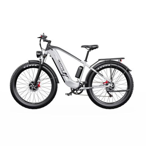 Duotts F26 Elektrisches Fahrrad - 2*750W Motor 48V 20Ah Samsung Batterie  Nicht faltbar - Silber Weiss