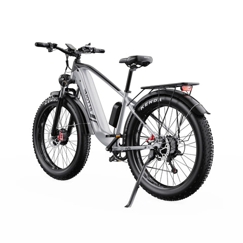 Duotts F26 Elektrisches Fahrrad - 2*750W Motor 48V 20Ah Samsung Batterie  Nicht faltbar - Silber Weiss