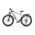 Duotts F26 Lite E-Bike - 500W Motor 48V18Ah Battery 26 Inch Tires Hydraulic Brakes - Silver White