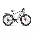 Duotts F26 Lite E-Bike - 500W Motor 48V18Ah Battery 26 Inch Tires Hydraulic Brakes - Silver White