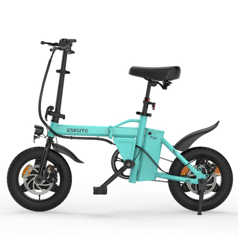 ESKUTE F100 E-Bike mit 14-Zoll-Reifen, 250-W-Motor, 36-V-9-Ah-Akku, mechanischen Scheibenbremsen – Blau