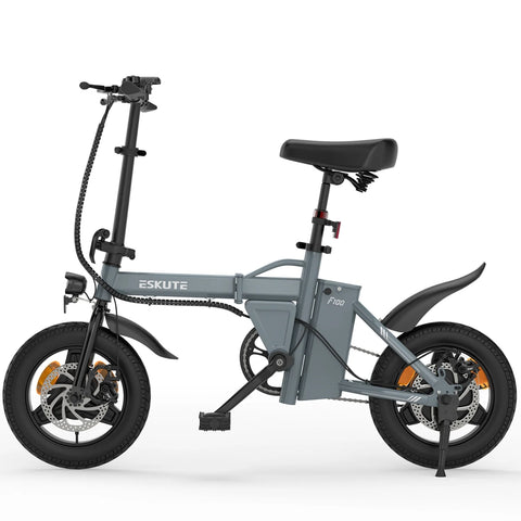 ESKUTE F100 E-Bike (14 Zoll Reifen, 250-W-Motor, 36 V 9 Ah Akku, mechanische Scheibenbremsen) – Grau