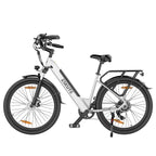 ESKUTE Polluno Plus 26INCH - 250W Motor 36V20AH Batterie 26 Zoll Reifen Mechanische Scheibenbremse - Weiß