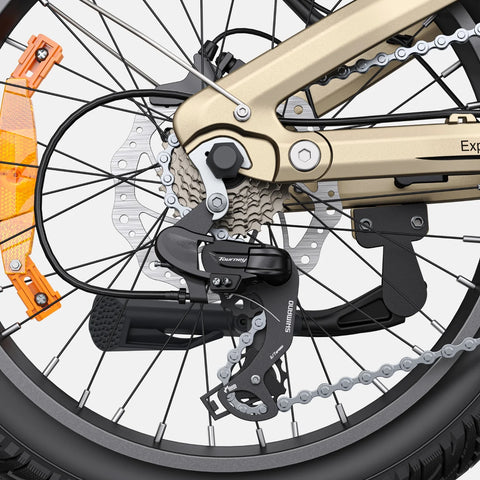 E-Bike ENGWE L20 3.0 PRO - Motor 250W Akku 48V15AH 20 Zoll Räder TUV Zertifiziert Hydraulische Scheibenbremsen - Gold