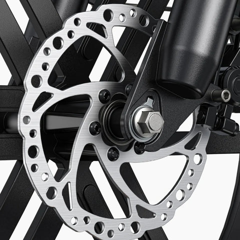 E-Bike ENGWE L20 Boost - Motor 250W Akku 48V13AH 20 Zoll Räder  mechanische Scheibenbremse - Schwarz