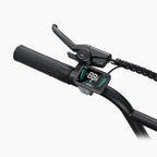E-Bike ENGWE L20 Boost - 250W Motor 48V13AH Battery 20 Inch Wheels Mechanical Disc Brake - Black