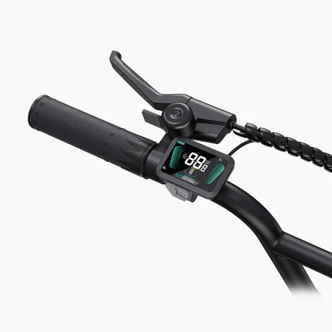 E-Bike ENGWE L20 Boost - Motor 250W Akku 48V13AH 20 Zoll Räder  mechanische Scheibenbremse - Schwarz