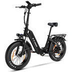 TTGO F6 E-Bike - Motor 250W Akku 36V25AH 20-Zoll-Rädern Hydraulische Scheibenbremsen  - Schwarz