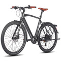 FAFREES F700M City E-Bike - Motor 250W Akku 36V10AH Alurahmen Hydraulikbremse - Schwarz