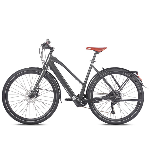 FAFREES F700W City E-Bike - Motor 250W Akku 36V10AH mit Alurahmen hydraulische Bremsen - Schwarz