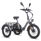 FAFREES F20 Mate E-Lastenrad - Motor 500W Akku 48V21AH 20-Zoll-Rädern Hydraulische Bremsen - Grau